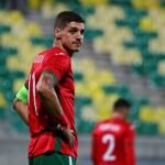 bulgaria's-kiril-despodov-looks-players-during-international-440nw-13626821l